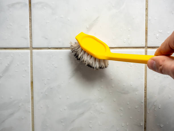 Best Mold Testing and Inspection Services in Jay, OK